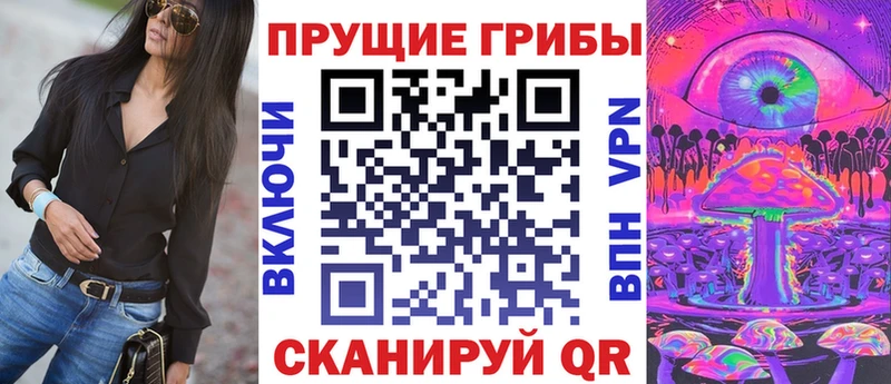 сколько стоит  Дмитровск  blacksprut ссылки  Галлюциногенные грибы Psilocybine cubensis 